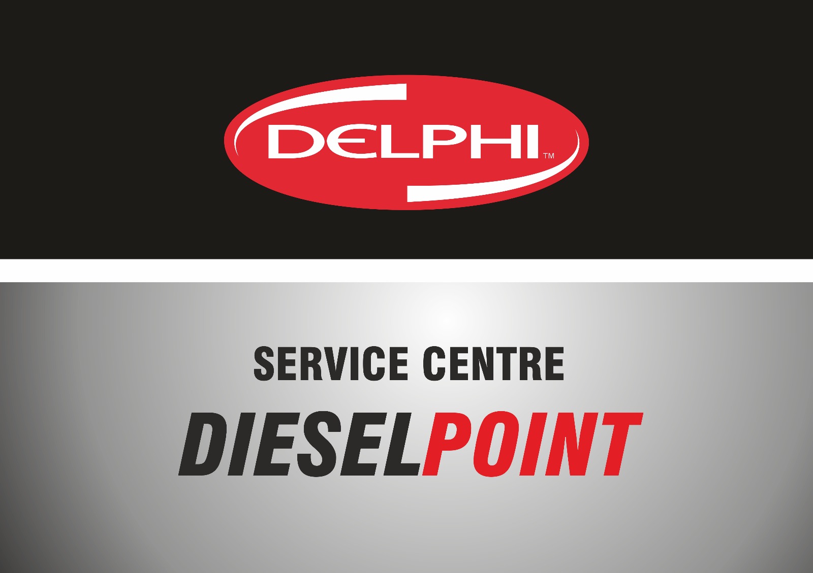 delphi diesel point